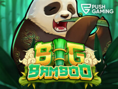 Bedava slot casino oyunları60